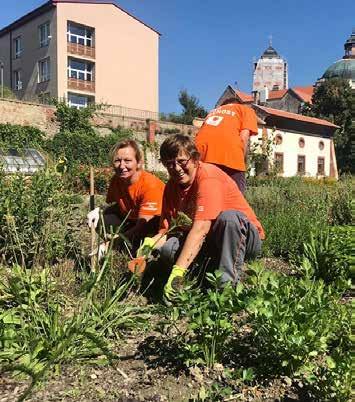 korun. Peníze budou směřovat na vzdělávání a školení pracovníků, nebo rozšíření poskytovaných služeb.