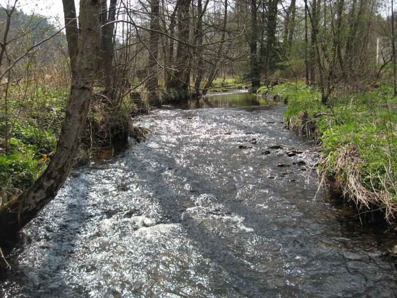 Dobrý ekologický