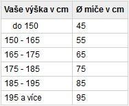 ROZBOR TEORETICKÝCH VÝCHODISEK DANÉ PROBLEMATIKY byla vydána v Německu v roce 1980.