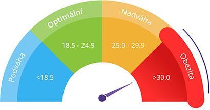 DISKUSE Z hlediska statistické významnosti vyšel výsledek t-testu p > 0,05, který ukazuje, že rozdíl není statisticky významný, a proto musí být tato zamítnuta.