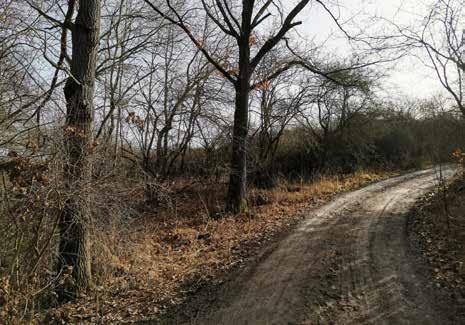 Anketa je určena obyvatelům a spolkům z obcí okolí měst Blovice, Přeštice, Mirošov a Starý Plzenec.Anketu je možné vyplnit on-line: https://www.survio.