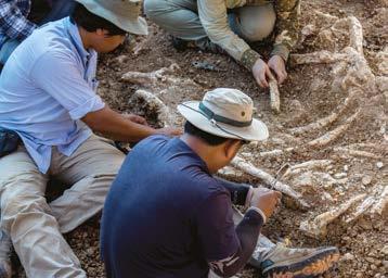 Do geologických věd řadíme například geologii, paleontologii, mineralogii, petrologii, geochemii a geofyziku. Geologie je věda zabývající se vznikem a stavbou Země.