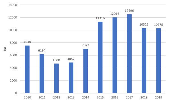 PĚSTOVÁNÍ LUSKOVIN NA ZRNO V ČESKÉ REPUBLICE 29 Struktura ploch osevů luskovin v roce 2018 2019 Plodina 2018 2019 Rozdíl Difference +,- Index (%) Struktura Share 2019 (%) Luskoviny na zrno CELKEM 35