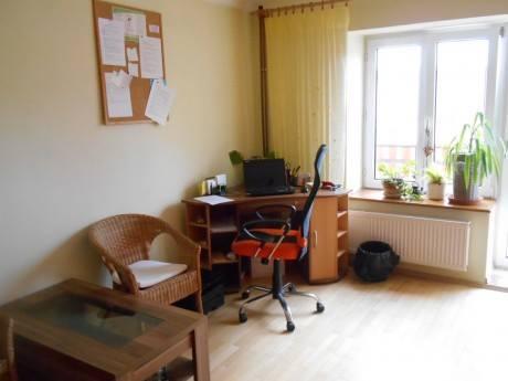 terapeutické činnosti: individuální, skupinové a rodinné terapie poradenství - např.