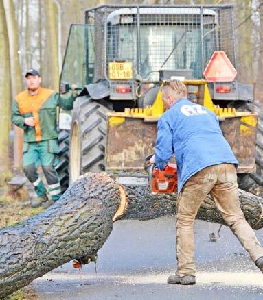 Pařez a větve pak doplnily přírodní prvky v areálu, tedy broukovníky či hadníky. Sráz, na kterém se vyvrátil topol, je opravdu nevyzpytatelný a situace se v budoucnu může opakovat.