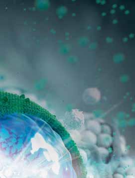 ONIVYDE PEGYLATED LIPOSOMAL: HIT PANCREATIC CANCER HEAD ON ONIVYDE pegylated liposomal je schválen pro léčbu metastazujícího adenokarcinomu pankreatu v kombinaci s 5-fluorouracilem (5-FU) a