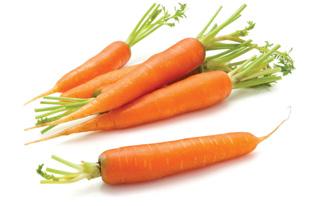 zelenina Mrkev Mrkev se pěstuje jako kořenová zelenina a jejím blízkým příbuzným je pastinák. Rané odrůdy bývají také označovány jako karotka.