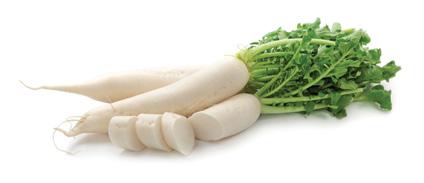 zelenina Ředkev (daikon a černá) Ředkev setá je kořenová zelenina z čeledi brukvovitých, která má mnoho různých odrůd.