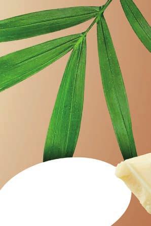 COCONUTTI