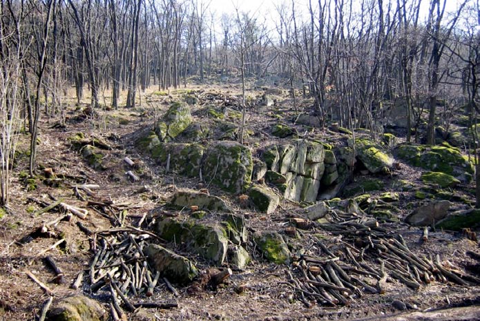 Boj s invazními rostlinami v národním parku Podyjí Lenka Reiterová, Petr Vančura v území hojné, ale vykazují invazní potenciál, případě je známo jejich invazní chování z jiných území.