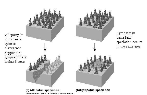 Allopatrická Formy speciace - ke speciaci dochází v populacích na geograficky