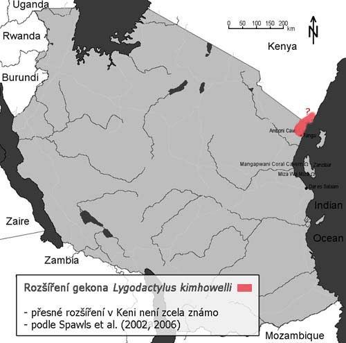 rostra a pokračující dále kaudálně přes supralabiália. Zakončení je totožné s předcházejícími pruhy. Na hlavě L.