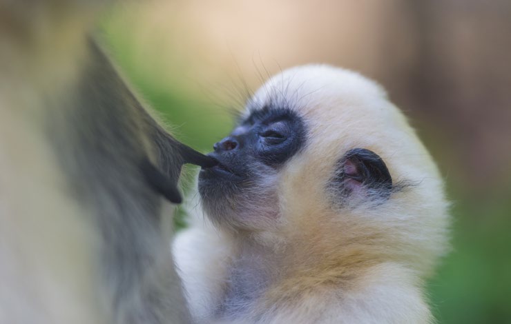 Výherci získají vodácké zájezdy, předplatné MF DNES, vstupenky do zoo, knihu Zoo v obrazech, průvodce a další propagační materiály olomoucké