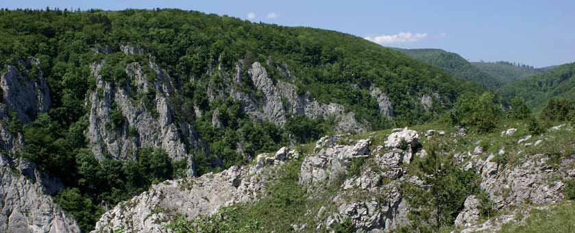 Typy přírodních stanovišť soustavy Vápencové krasové pohoří pokryté lesy, Slovenský kras.