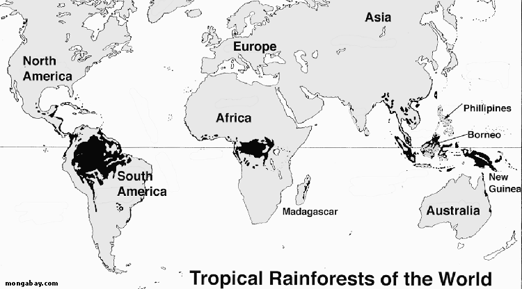Opravník obecně oblíbených omylů o deštných lesích 1. Deštné lesy nejsou neměnné ani starobylé (žádné pra-lesy) 2. Deštný les není neprostupná džungle 3. Deštné lesy nehýří druhovou pestrostí 4.