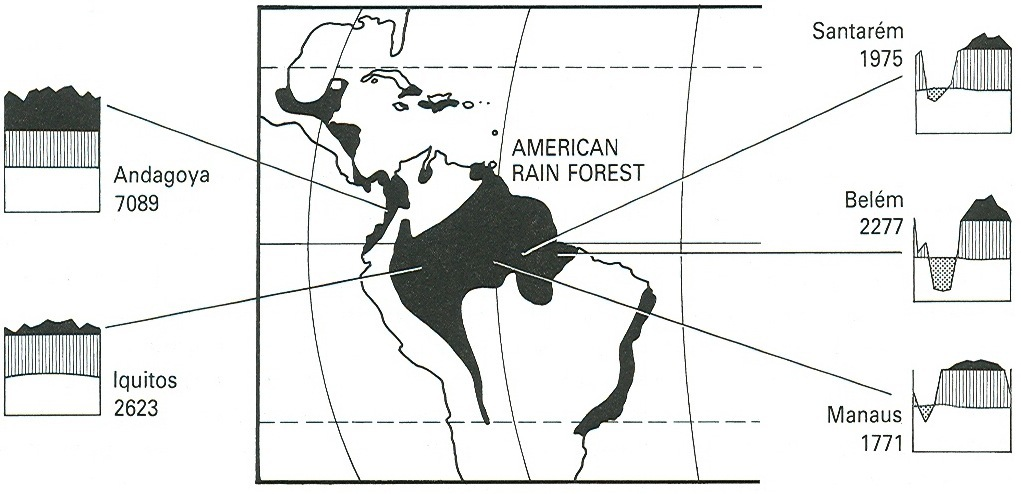 Distribuce deštných lesů Latinské Ameriky: mapa vs realita trans-andské