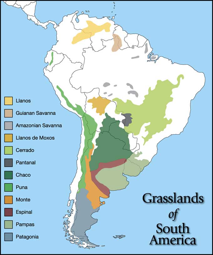 společenstva: hlavní biom Jižní Ameriky páramo vs puna Gran Sabana campina