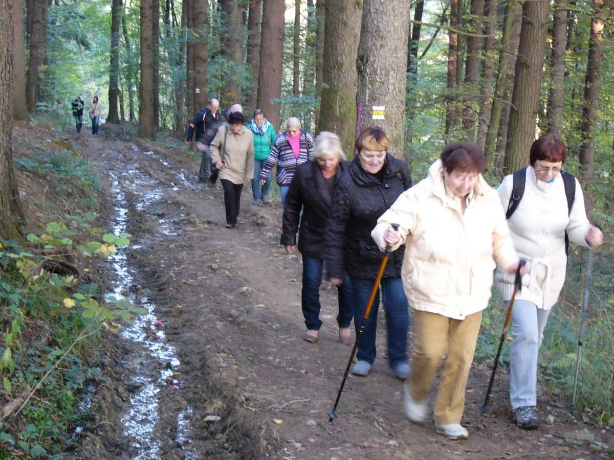 bytu. Tyto krátkodobé odlehčovací služby jsou velmi žádané a téměř celý rok navazuje jeden pobyt v tzv. V. I. P. pokoji na druhý.