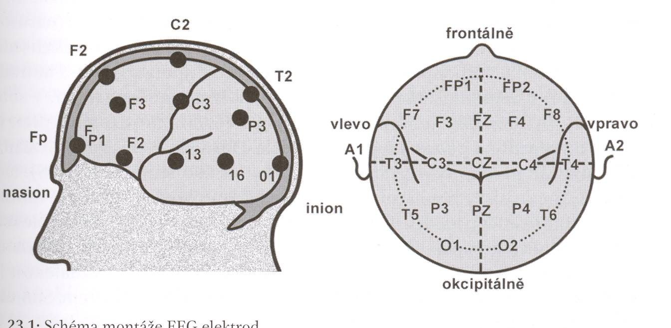 Schéma montáže EEG elektrod (Ambler, Z.