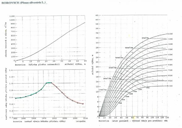 Výškový růstový trend pro dřevinu borovici v RT ČR 1996.