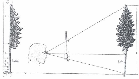 pravoúhlého trojúhelníka; l = vodorovná odstupová vzdálenost (odvěsna pravoúhlého trojúhelníka); s =