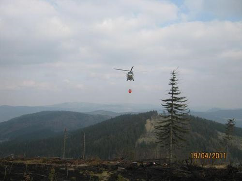 Požár lesa na hranici s Polskem Vrtulník Bell 412 letky Policie ČR se dvěma brněnskými hasiči lezci na palubě v úterý 19. dubna 2011 odpoledne vzlétl k požáru lesa na Královéhradecku.