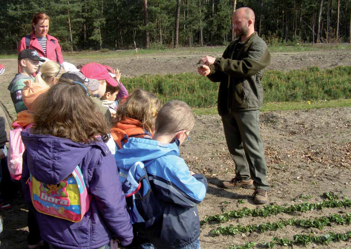 Lesní pedagogika Co je to lesní pedagogika?