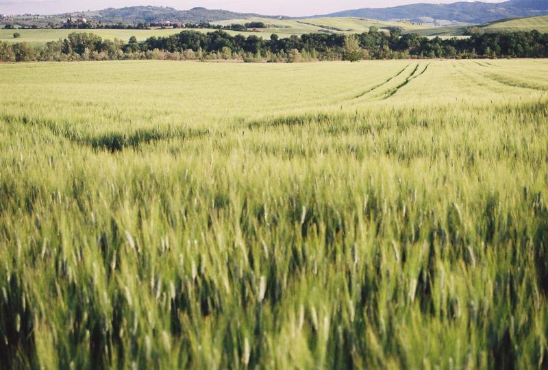 Biomasa Výhody:nízká emise CO2, která je rovna spotřebě nově narůstajících rostlin; využití odpadu; dostupnost zdroje; využití nepotravinářské půdy.