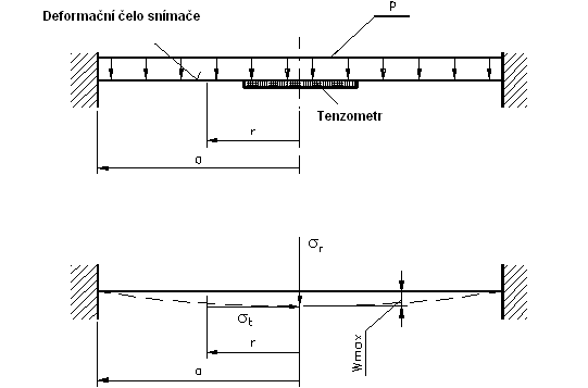 Ročník 4., Číslo III., listopad 009 Zdroj - Aleš Slíva Obr. 3 - Umístění tenzometru na čelo 3Dimenzionálního snímače.