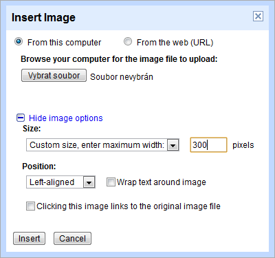 Nezapomeňte si aktivovat volbu More image options, ta umožní nastavit velikost a například obtékaní