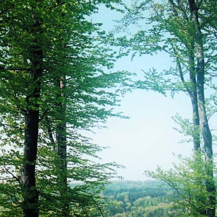 V posledních nûkolika desítkách let byl uskuteãnûn obrovsk pokrok v porozumûní, jak geny fungují.