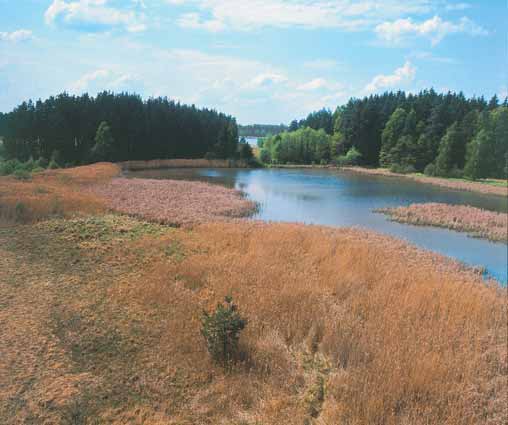 8. AVIFAUNA T EBO SK CH RYBNÍKÒ