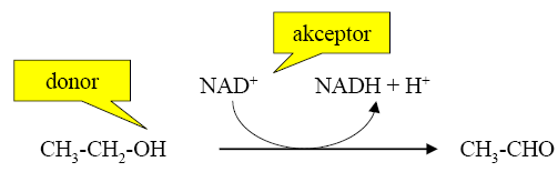 1. XIDREDUKTASY donor + akceptor oxidovaný donor + redukovaný akceptor Systematický název: donor : akceptor-oxidoreduktasa angl.