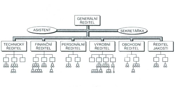 Obrázek 1: Funkcionální organizační struktura Zdroj: Bělohlávek, a další, 2001,