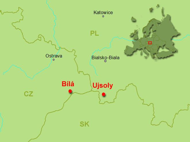 Výsledky V letech 1994-2007 bylo analyzováno 1536 stromů, z toho 826 stojících stromů napadených nebo usmrcených kůrovci, 194 stromů bleskových, 140 vývratů 100 zlomů a odlomů v mýtných porostech 276