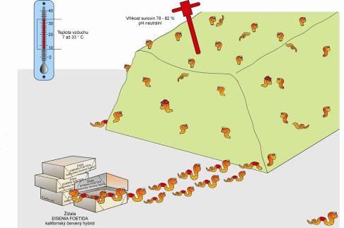 Při využívání jakéhokoliv z uvedených systémů je nutné zajistit optimální prostředí pro hlavní součást vermikompostování pro žížaly (obr. 1).