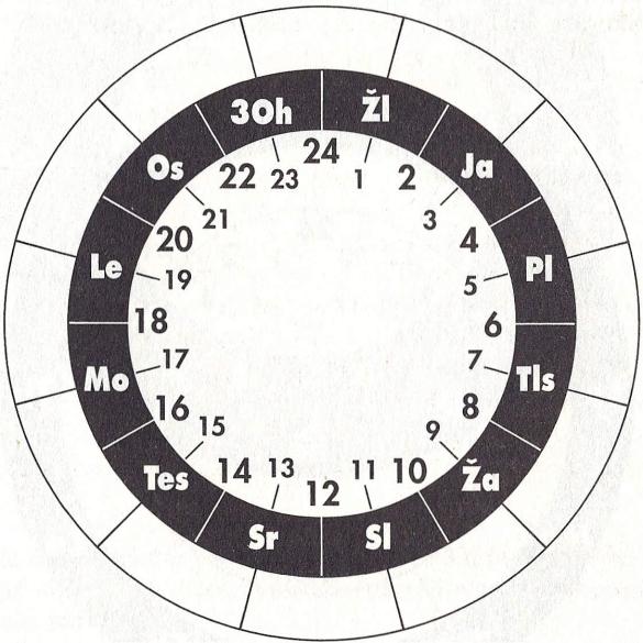 ORGÁNOVÉ HODINY Rámcové podmínky Pojetí vnitřních hodin se zakládá na následujících cyklech: Orgánové hodiny člověka probíhají všemi energiemi jednou za hodinu.