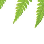 kvality, přirozenou autoritu, aktivitu až agresivitu, touhu po dobrodružství a změně, překotnost, panovačnost, samolibost, úzkostlivost a ulpívání.