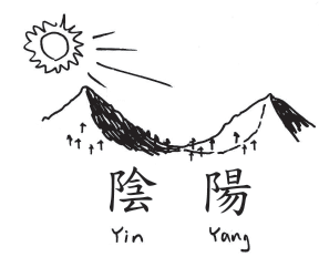 V doslovném překladu znamenalo slovo jin stín a slova jang slunce.