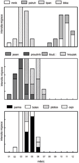 z místa na místo ve velkých hejnech a ryjí ve dně nebo seškrabují biologické nárosty z kamenů (Rakowitz a kol., 2008).