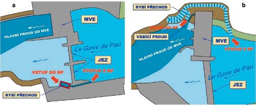 Obr. 9.6 Půdorysné schéma vodního díla Baigts (a) a Castetarbe (b) na řece Le Gave de Pau (Francie) Losos obecný.