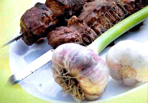 Kebab v Sevan jehněčí. - 800 g, tuk - 100 g, cibule -., 4 ks, česnek - 3 stroužky, jogurt - 2 šálky, sůl - podle chuti.