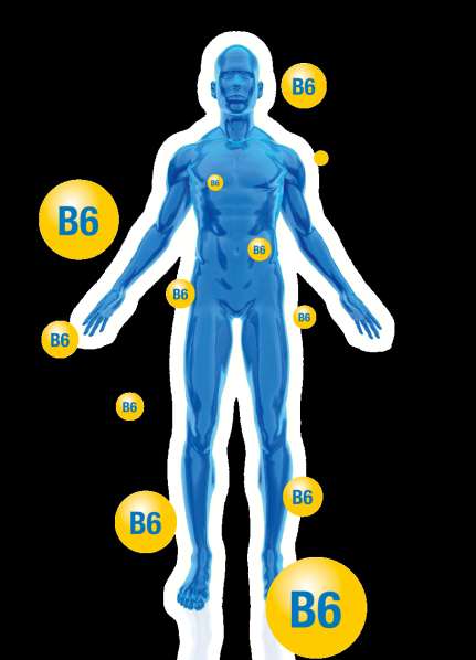 Magne B6 je výhodné pro pacienty Díky kombinaci s vitamínem B6 Magne B6 hořčík v těle