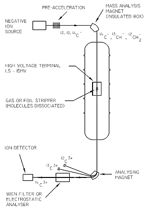 tandemový urychlovač jsou odstraněny nežádoucí ionty použitím elektrických a magnetických polí. Na konci trasy jsou pak vhodnými detektory měřeny počty atomů od jednotlivých izotopů.