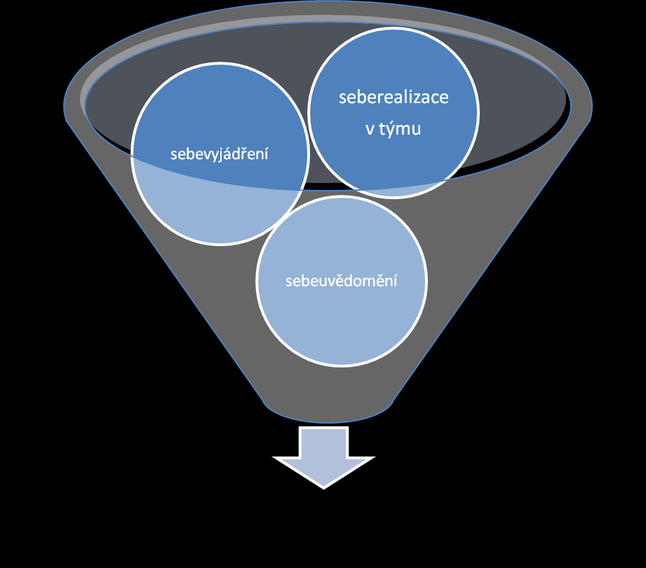 SEBEREALIZACE A SEBEUVĚDOMĚNÍ JAKO ZÁKLAD EFEKTIVNÍ A KOMPETENTNÍ ČINNOSTI Doc. PaedDr.