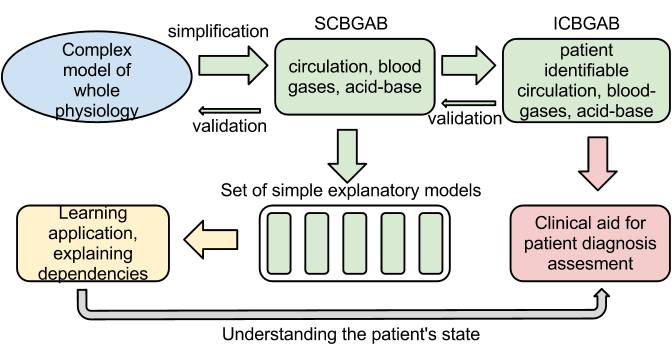 Filip Ježek Obrázek 1 Schéma vývoje - SCBGAB - simple model of circulation, blood-gases and acidbase model (zjednodušený model cirkulace, krevních plynů a acidobáze), ICBGAB - idenitfiable model of