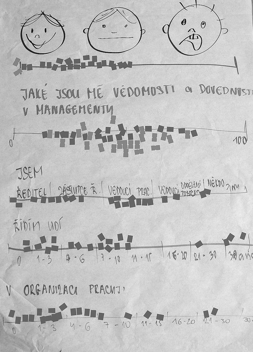 Někdy se místo procent dává škála rozhodně ano, spíše ano, spíše ne, rozhodně ne. Krok 2 Vedoucí klade otázky a účastníci se rozmisťují po škále/prostoru. Příklad: Kdo má zpracovaný strategický plán?