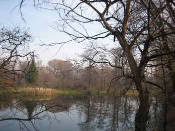 Fig. 2.: Pond in Kaczeńcowa street (Photo by the Author, 2011) roundings of the area of 0.