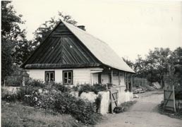 pohled na část zástavby návsi v obci Ředice 4. v patře roubený špýchar s pavlačí u usedlosti čp.