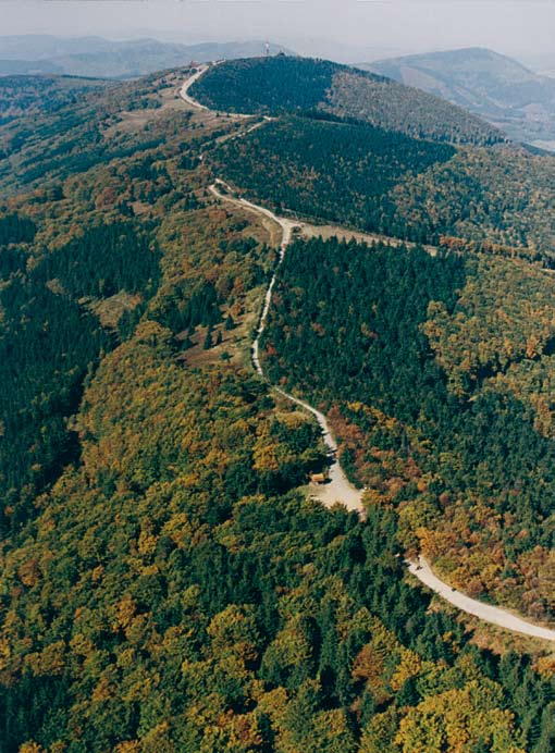 kapli postavili ve stylu byzantských staveb, aby tak poukazovala na původ Cyrila a Metoděje, kteří k nám z